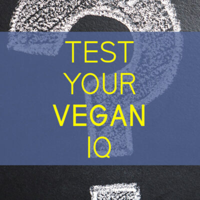 test your vegan iq vegan savvy cover1