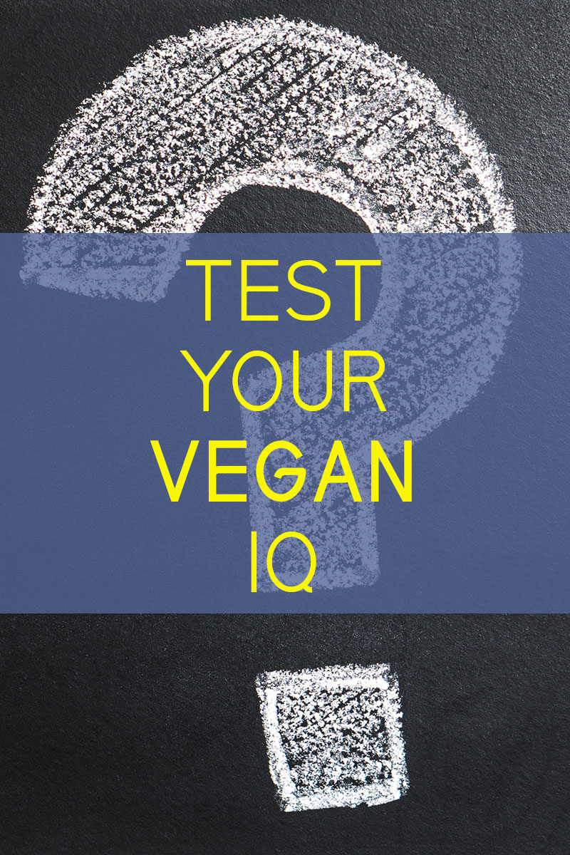 test your vegan iq vegan savvy cover1